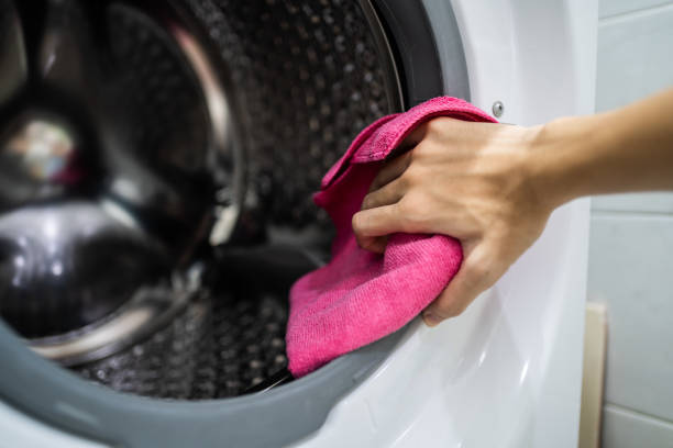Best Mold Prevention Services  in Bremerton, WA