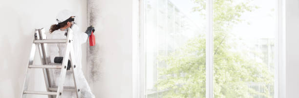 Best Water Damage & Mold Remediation  in Bremerton, WA