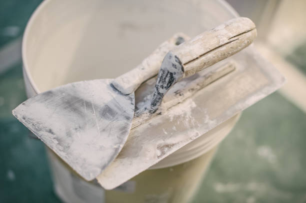 Best Environmental Consulting for Mold Prevention  in Bremerton, WA